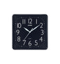 CASIO IQ-06-1DF
